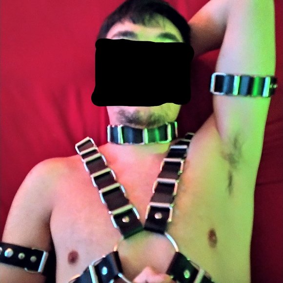 Real Leather & Metal Harness/bands collar fetish